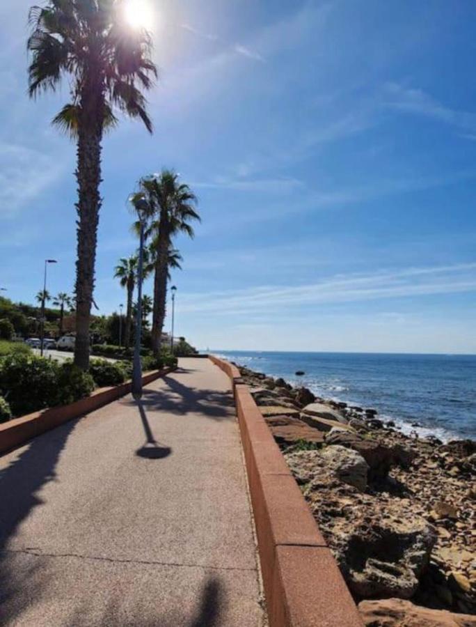 Studio Climatise Avec Jardin Et Plage A 250M Saint-Mandrier-sur-Mer Luaran gambar