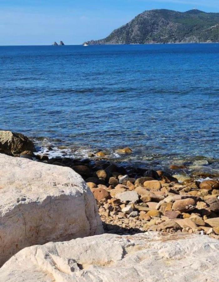 Studio Climatise Avec Jardin Et Plage A 250M Saint-Mandrier-sur-Mer Luaran gambar